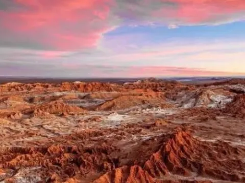 Sa mạc đã không mưa trong 400 năm và khô cằn nhất trên trái đất, nhưng tại sao vẫn có những thảm họa nở rộ! Lý do chính xác là gì?