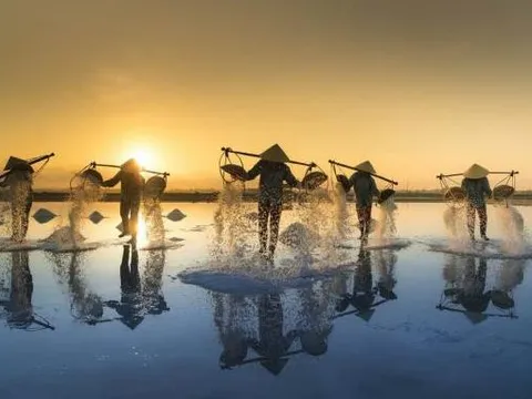 Tỉnh nào là thủ phủ muối của Việt Nam?