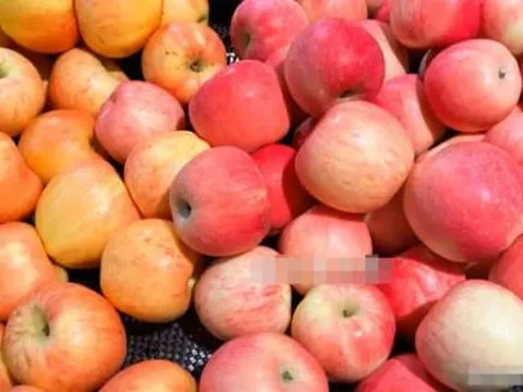 Khi mua táo hãy nhớ chọn những quả 'mẹ'! Chú ý điểm này và chọn đúng, tất cả những quả bạn mua sẽ có vị ngọt, giòn