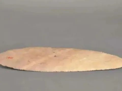 Nam sinh cấp 2 từng nhặt được chiếc lá trên núi, không ngờ là bảo vật quốc gia, có lịch sử hơn 6000 năm