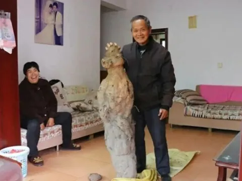 Đào được dị vật to bằng người, lão nông đổi đời thành tỷ phú chỉ sau 1 đêm khi bán với giá trăm tỷ