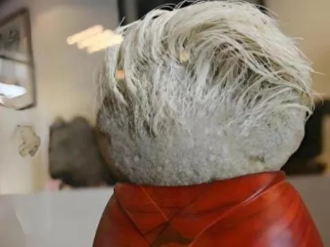 Một ông già nhặt một viên đá mọc 'tóc trắng' trên đó. Các chuyên gia nhìn vào và ngay lập tức phong tỏa toàn bộ ngôi làng