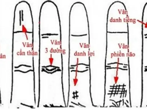 5 dấu hiệu 'trời ban' trên ngón áp út báo hiệu cuộc đời thuận buồm xuôi gió, tiền vào như nước