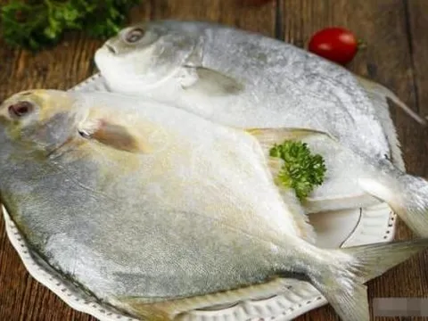 Người sành ăn tiết lộ 6 loại cá biển tự nhiên, không nhân tạo, thịt ngon mà giá lại phù hợp với túi tiền