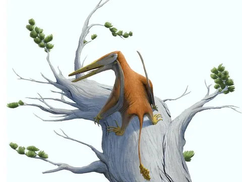 Phát hiện "vua bầu trời" kỷ Jura, đến từ siêu lục địa đã mất