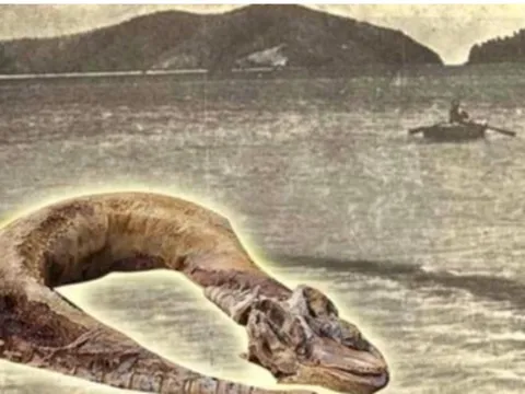 Những 'quái vật' gây ám ảnh nhất Việt Nam, có con thật sự tồn tại trên đời