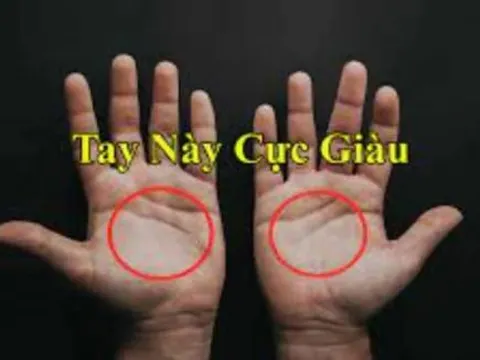 Bạn sở hữu 3 dấu hiệu phú quý này trên bàn tay chưa? Nhưng hãy cẩn thận với 2 điểm báo hiệu cuộc đời long đong