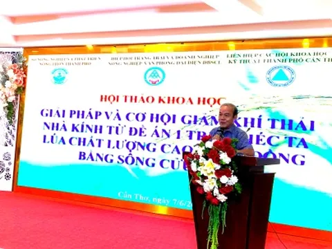 Cơ hội lớn bán tín chỉ carbon từ mô hình trồng lúa phát thải thấp