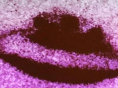 Bí mật vật thể lạ nghi UFO giết chết các loài chim, khiến 8 đứa trẻ sợ hãi: Có tiếng vo ve kì lạ