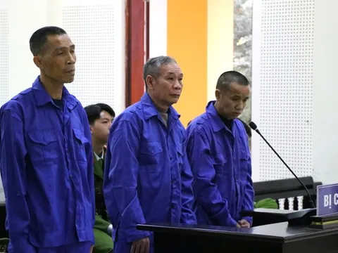 Bạn tù rủ nhau lập đường dây ma túy liên tỉnh