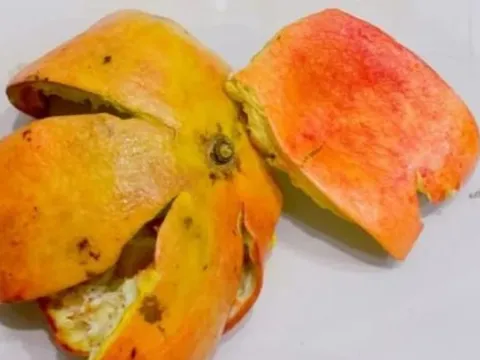 Vỏ lựu: Kho báu bị lãng quên, nhiều người không biết công dụng