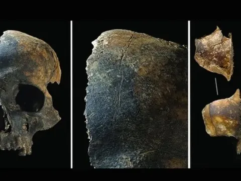 Tiết lộ hành vi bạo lực chưa từng có: Cắt lưỡi, moi ruột, ăn thịt người ở thời đại đồ đồng