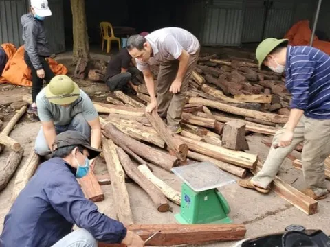 Khu chợ duy nhất của Việt Nam chỉ bán 1 mặt hàng: Gỗ quý tiền tỉ bán theo cân, kiếm được bộn tiền