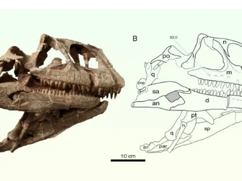 "Ông tổ" của siêu quái thú lộ diện ở Vân Nam - Trung Quốc