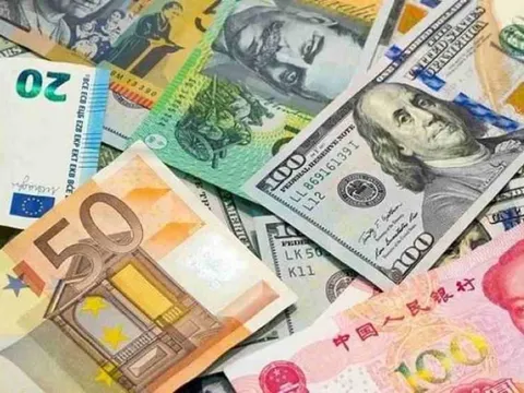 Tỷ giá ngoại tệ ngày 13/1/2025: Giá USD và Nhân dân tệ tiếp tục giảm 