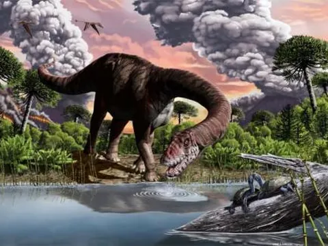 Con người đã khôi phục lại diện mạo của khủng long như thế nào sau khoảng thời gian dài 65 triệu năm như vậy?