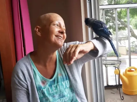 Sau khi được cứu sống, chú chim quý hiếm giúp người phụ nữ đang mắc ung thư vú dần hồi phục