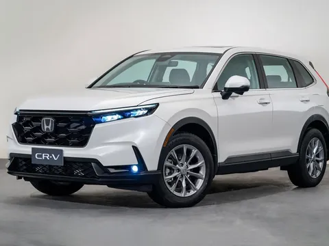 Giá bán ngang xe hạng D, Honda CR-V vẫn bán chạy hơn đối thủ