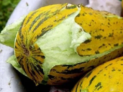 Đây là bộ phận luôn bị mọi người vứt bỏ khi ăn nhưng lại ẩn chứa tác dụng chữa bệnh 'thần kỳ'