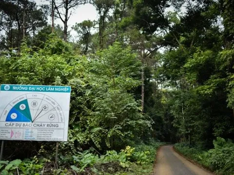 Trường đại học duy nhất ở Việt Nam có rừng trong khuôn viên: Rộng gấp 6 lần ĐH Bách Khoa, gần bằng 1 quốc gia