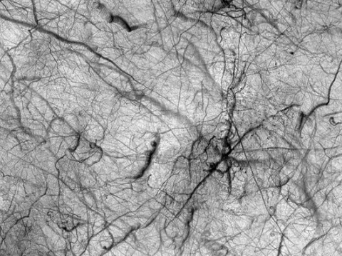 NASA tung ảnh "thế lực” đã hạ gục robot săn sự sống