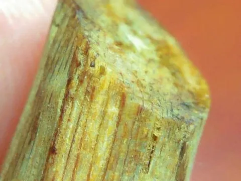 Một địa phương ở Việt Nam sở hữu loại gỗ tốt nhất thế giới, quý hơn kim cương, giá khủng lên đến 50 tỷ/kg