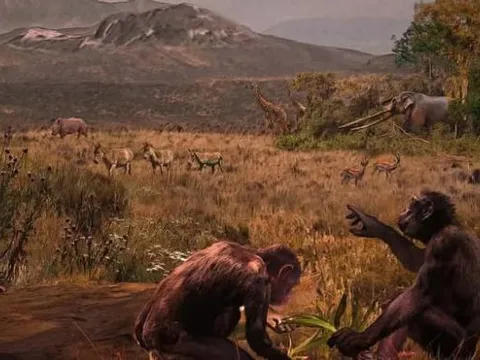 Vì sao chúng ta chỉ thích ăn thịt động vật ăn cỏ mà ít khi chọn thịt động vật ăn thịt? Phải chăng do hương vị không hấp dẫn?