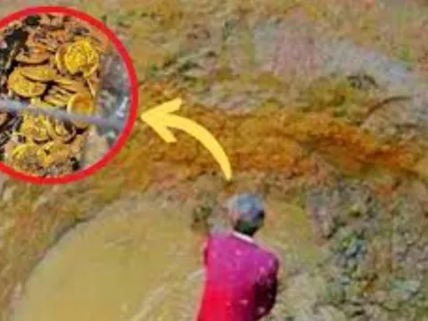 Lão nông dân đào giếng phát hiện 102kg vàng cổ, tưởng rằng đổi đời ai ngờ số tiền nhận được chỉ gần 2 triệu đồng