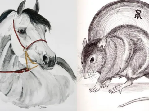 Tử vi ngày 20/1/2025 của 12 con giáp: Tý vận may ngập tràn, Ngọ an nhàn hưởng lộc