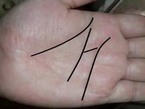 3 nét đặc biệt trên bàn tay tiết lộ số phận giàu có trọn đời, nếu bạn có 1 trong số đó thật đáng chúc mừng