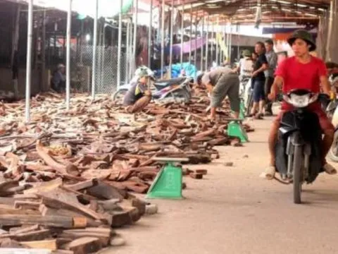 Khu chợ duy nhất Việt Nam bán gỗ quý 'tiền tỷ' theo cân, hàng hiếm đổ đống, người dân thu bộn tiền