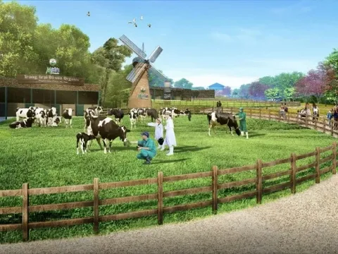 Thương hiệu xanh: Tương lai bền vững cho doanh nghiệp