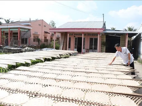 Làng nghề bánh tráng hơn 100 năm tuổi vào Xuân