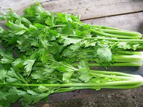 Loại rau được ví như 'thần dược' ở Việt Nam: Giá 1 kg bằng một bát phở, lợi ích tuyệt vời không phải ai cũng biết