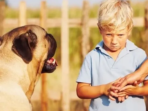 Tiết lộ bí ẩn gây 'sốc' về những loài động vật có thể ngửi thấy mùi sợ hãi ở con người