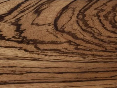 1 trong những loại gỗ cứng nhất thế giới có nguy cơ tuyệt chủng: Vẻ ngoài giống ngựa vằn rất quý hiếm