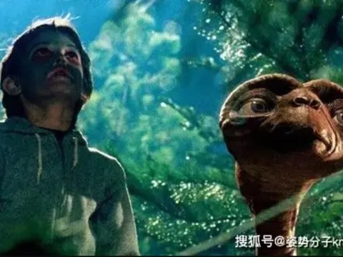 Không phải người ngoài hành tinh, con người có thể là sinh vật có trí tuệ duy nhất trong vũ trụ?