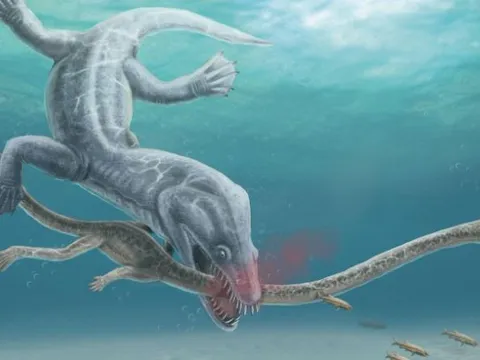 Phát hiện mới về nguyên nhân tuyệt chủng của loài 'quái vật' biển cổ dài