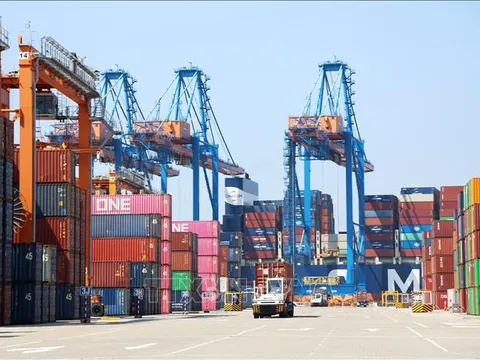 Chuyển đổi cảng xanh - Bài cuối: Thích nghi với luật chơi mới