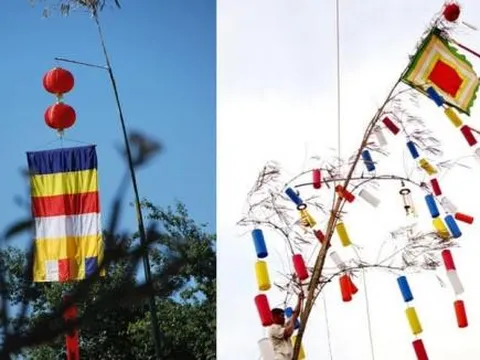 Cây nêu là cây gì? Ý nghĩa và nghi thức dựng cây nêu trong ngày Tết?