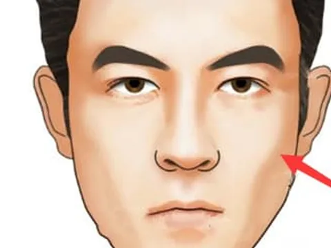 Nhận diện 4 kiểu khuôn mặt thiếu suy nghĩ: Tự ti, thiếu tập trung trong công việc và dễ vô tình xúc phạm người khác