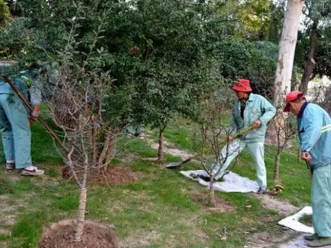 '50 không xây nhà, 60 không trồng cây, 70 không may quần áo', tại sao cổ nhân lại căn dặn như vậy?