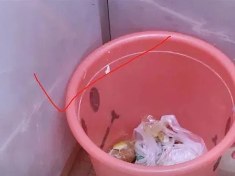 Dù nhà có lớn đến mấy cũng đừng đặt thùng rác ở ba nơi này, không phải là mê tín mà nhanh chóng bỏ đi