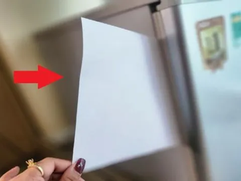 Lấy 1 tờ giấy để trong tủ lạnh, tiết kiệm cả triệu tiền điện mỗi năm
