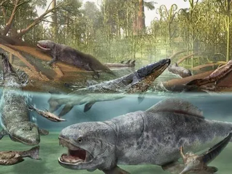 Có phải tất cả các loài khủng long đã tuyệt chủng? Trên thực tế, hậu duệ của nó đã tiến hóa của một số loài được tìm thấy ở khắp mọi nơi cạnh con người