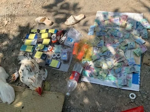 Triệt phá loạt tụ điểm đá gà dịp Tết