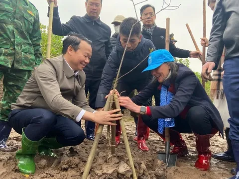 Tết trồng cây đời đời nhớ ơn Bác Hồ: Vì tương lai tươi sáng hơn