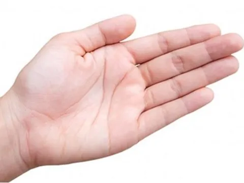 4 đặc điểm ở lòng bàn tay báo hiệu vận số giàu sang suốt đời, tài lộc hanh thông, đặc biệt là số 2