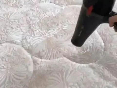 Những con mạt ve thường có nhiều trong chăn đệm! Học thủ thuật này, không cần giặt hay phơi khô, vẫn nhanh chóng loại bỏ tất cả bọ ve