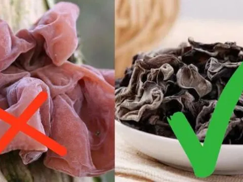 Tại sao không được ăn mộc nhĩ tươi mà phải phơi khô rồi mới đem chế biến